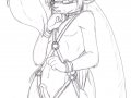 1188855934.accelo_celoharness.jpg
